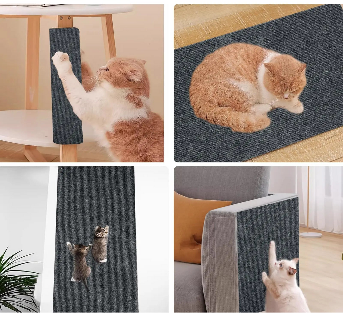 MiauAu ScratchGuard